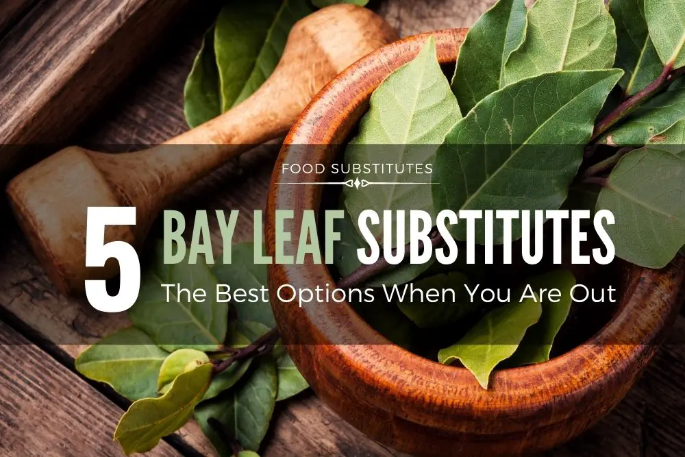 bay leaf substitute